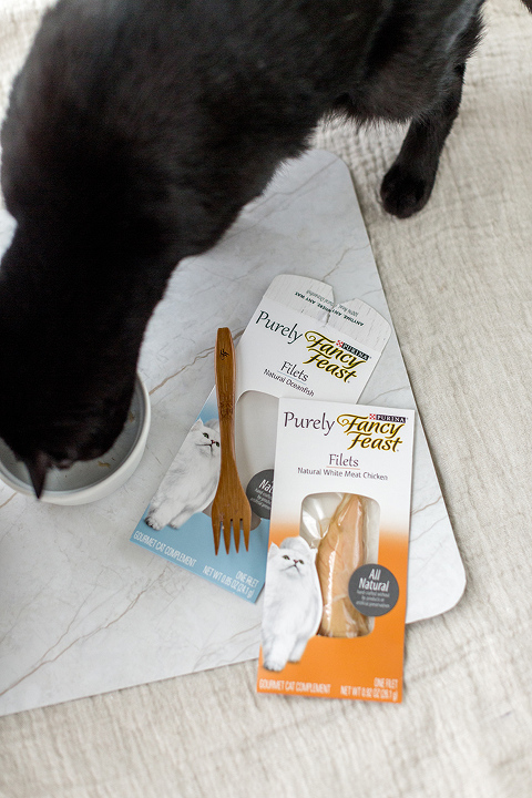 Fancy cat deals food bowls