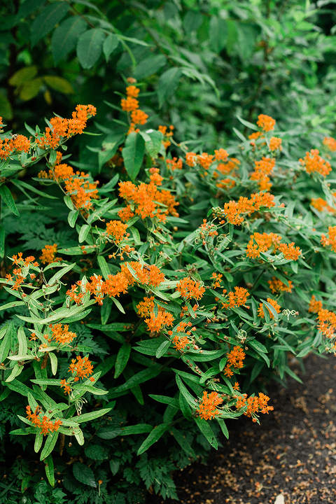 How To Make A Foraged Flower Arrangement