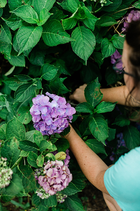 DIY Single-Bloom Flower Arrangement