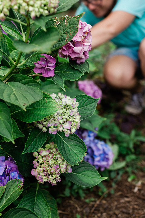 DIY Single-Bloom Flower Arrangement