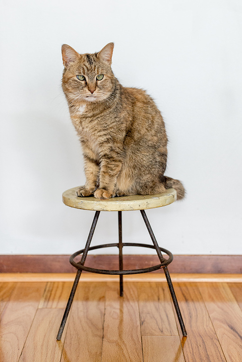 How To Turn A Vintage Stool Into A Plant Stand | dreamgreendiy.com + #offerup #ad