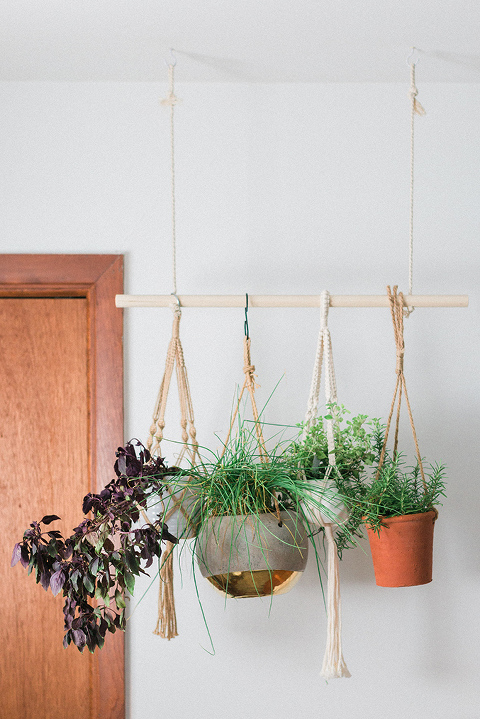 DIY Hanging Herb Plant Garden