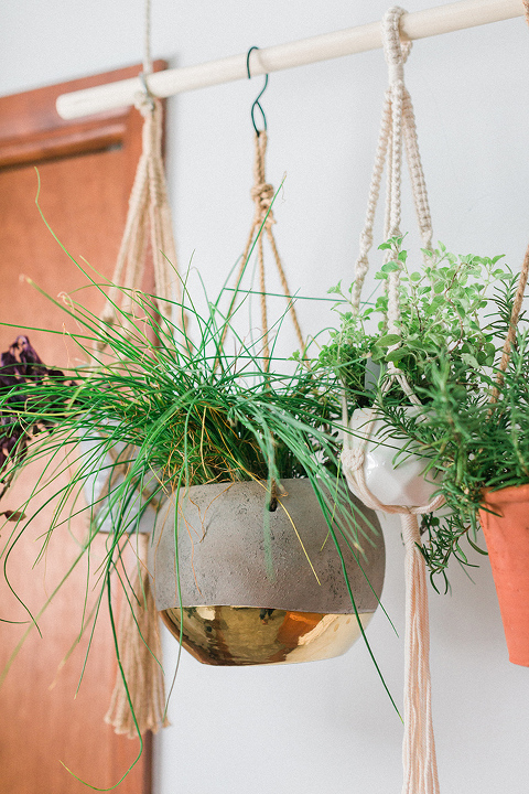 DIY Hanging Herb Plant Garden