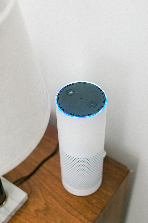 Our Favorite Things To Ask Alexa