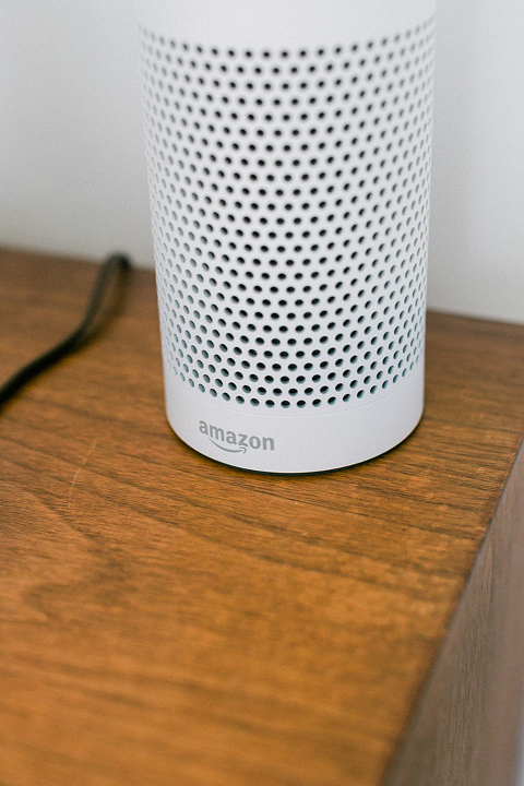 Our Favorite Things To Ask Alexa
