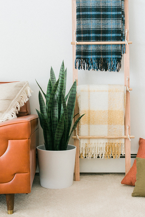 DIY Swing Arm Blanket Ladder