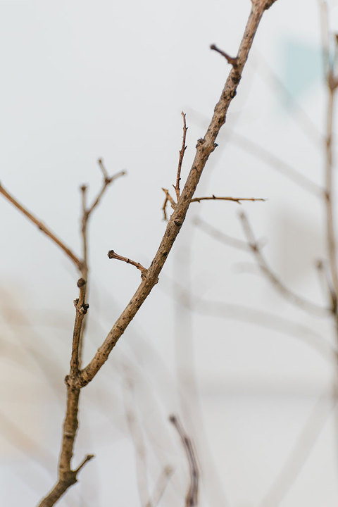 5-Minute DIY Branch Décor For Fall & Winter