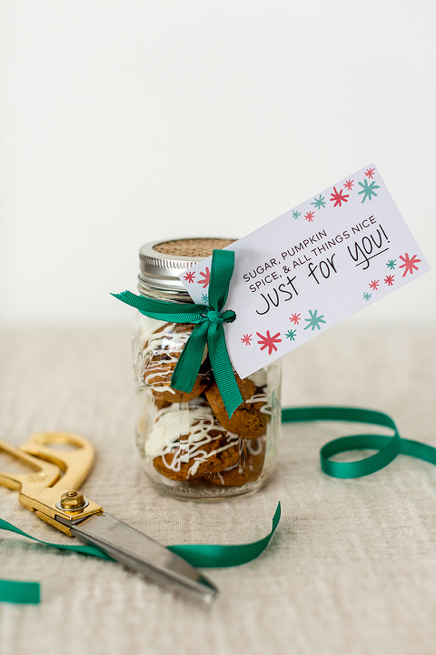 5 Mason Jar Christmas Gift Ideas