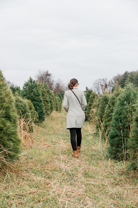 Our Day At The Christmas Tree Farm