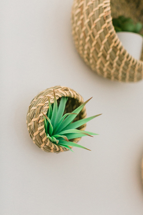 Hack IKEA Baskets Into Succulent Shelves