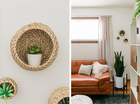 Hack IKEA Baskets Into Succulent Shelves