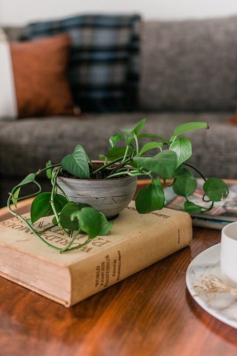 Tour Our Casual Mid-Century Living Room