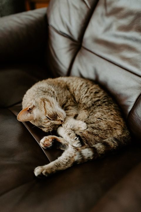 Our 2019 Home Tour On MyDomaine! (IMAGE BY: Tiffany Sun Photography)