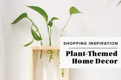 Plant-Themed Home Decor Roundup