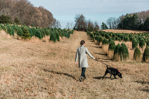 Family trip to the Christmas tree farm