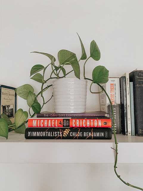 Our New Ultra High Bookshelf