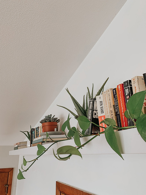 Our New Ultra High Bookshelf