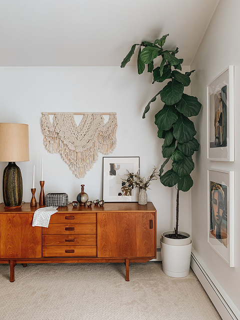 Fiddle Leaf Fig houseplant