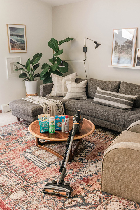 10-Minute Spring Cleaning Ideas To Try | dreamgreendiy.com + @mrclean @eurekapower @lemishine @scottliquidgold @babbleboxxofficial #CleanHomeHacksBBxx #ONECleanHome #SLGONE #scottsliquidgold #ad