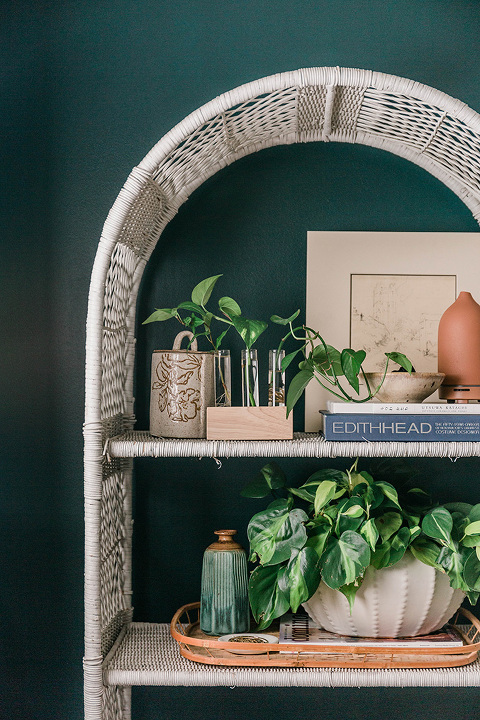 DIY Wood and Glass Propagation Station