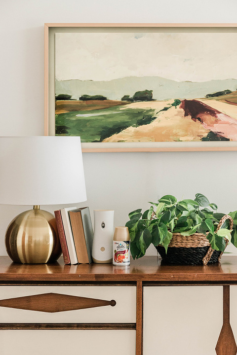 Boho mid-century console styling