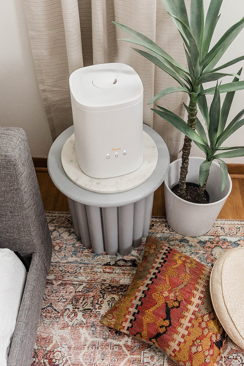 5 Reasons To Use A Home Humidifier | dreamgreendiy.com + @CraneUSA #ad #happyhealthyhumidity #Cranehumidifier