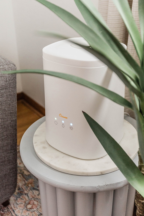 5 Reasons To Use A Home Humidifier | dreamgreendiy.com + @CraneUSA #ad #happyhealthyhumidity #Cranehumidifier