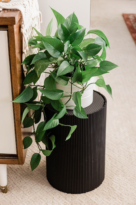 Turn A Trash Can Into A Plant Stand