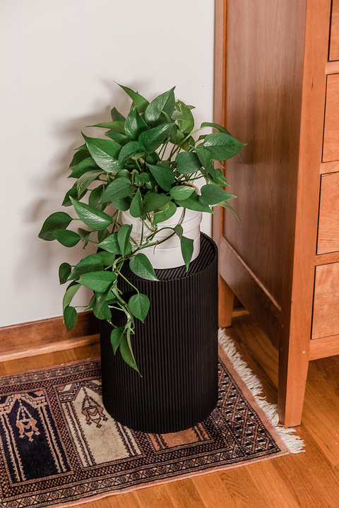 Turn A Trash Can Into A Plant Stand