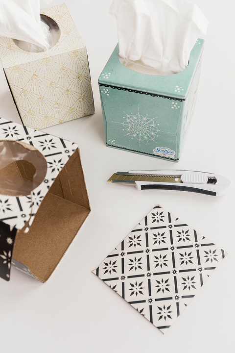 Diy with shop tissue box