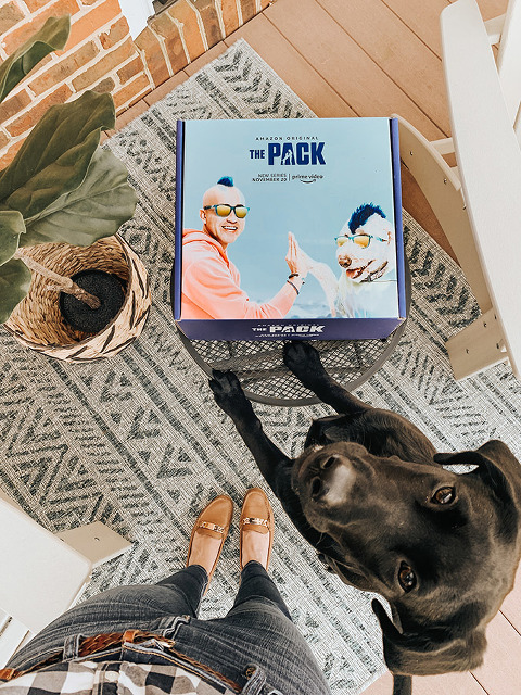 At-Home Playtime Tips For Your Puppy | dreamgreendiy.com + Amazon Prime Video #ad #PackedWeekend #ThePackonPrime