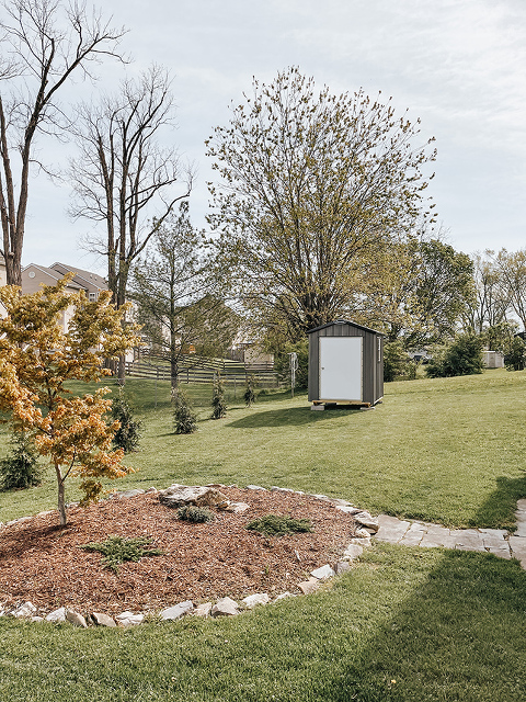 Our Long-Term Backyard Design Plans