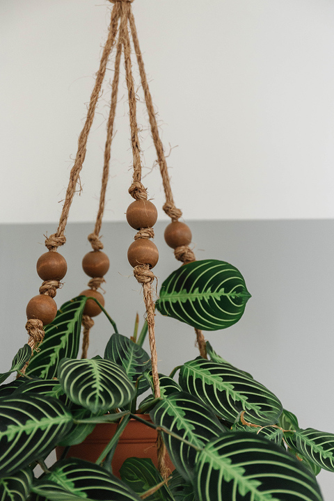 DIY Boho Hanging Wooden Plant Stand