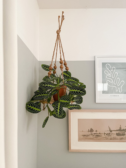 DIY Boho Hanging Wooden Plant Stand