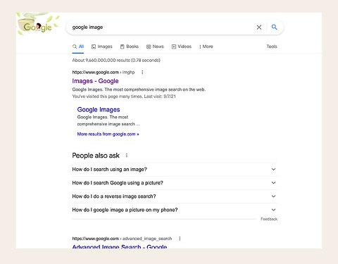 How To Do A Reverse Google Image Search