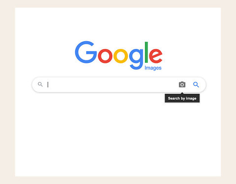 How To Do A Reverse Google Image Search