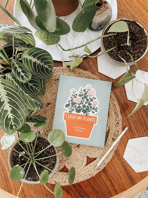My Seasonal Fall Home Refresh Checklist | #AD #FallHomeRefreshBBxx #GrabGreen #PlantBooks #boulderclean #experiencethemagic