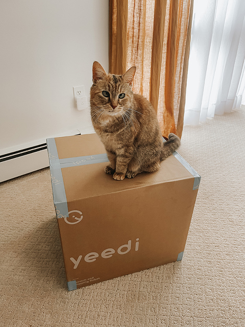 Reviewing The Yeedi Robot Vacuum