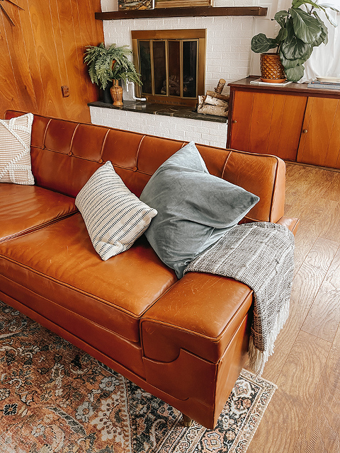 How to stop cat from scratching leather couch online