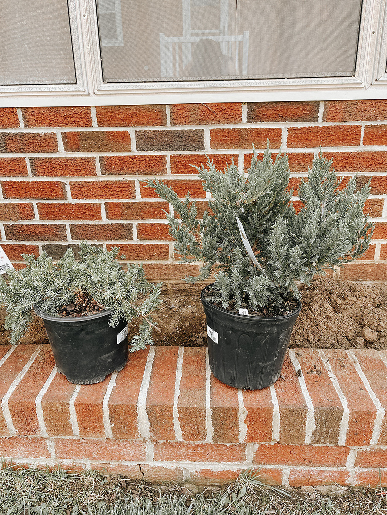 DIY Brick Repair And A Minimalist Garden