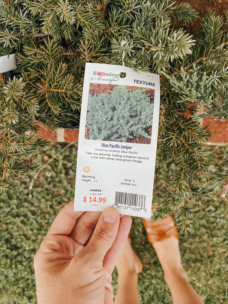 DIY Brick Repair And A Minimalist Garden