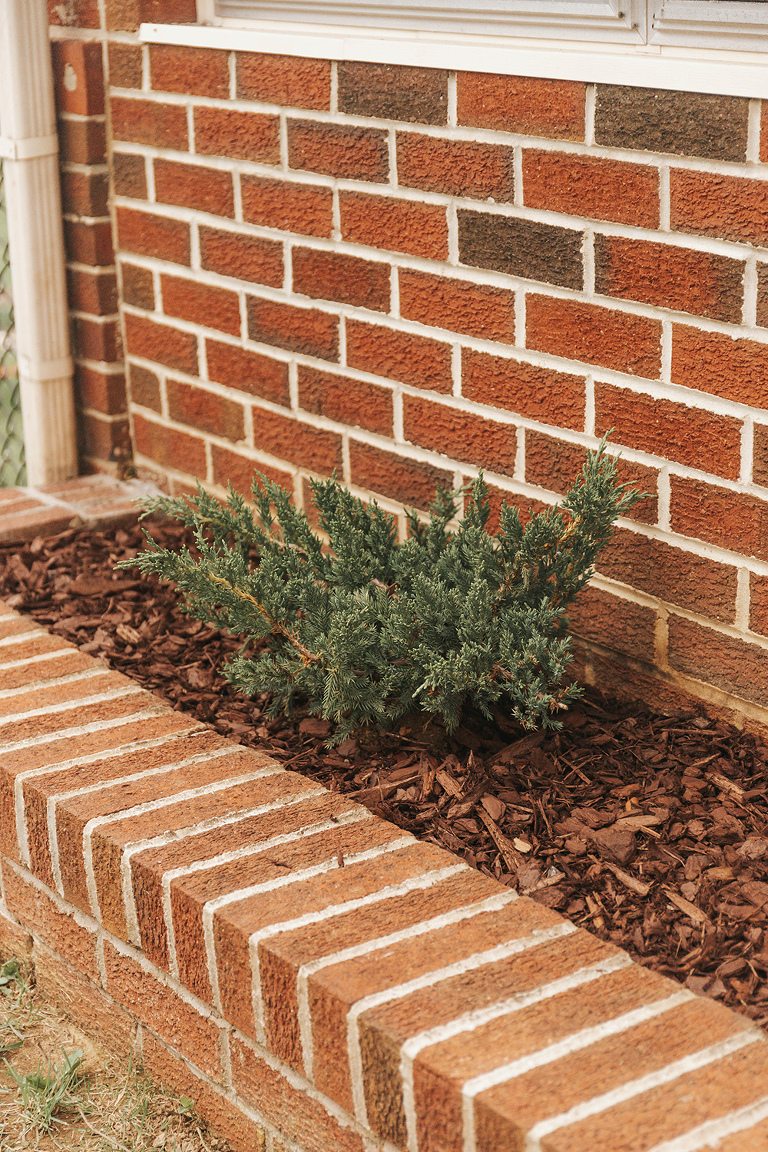 DIY Brick Repair And A Minimalist Garden