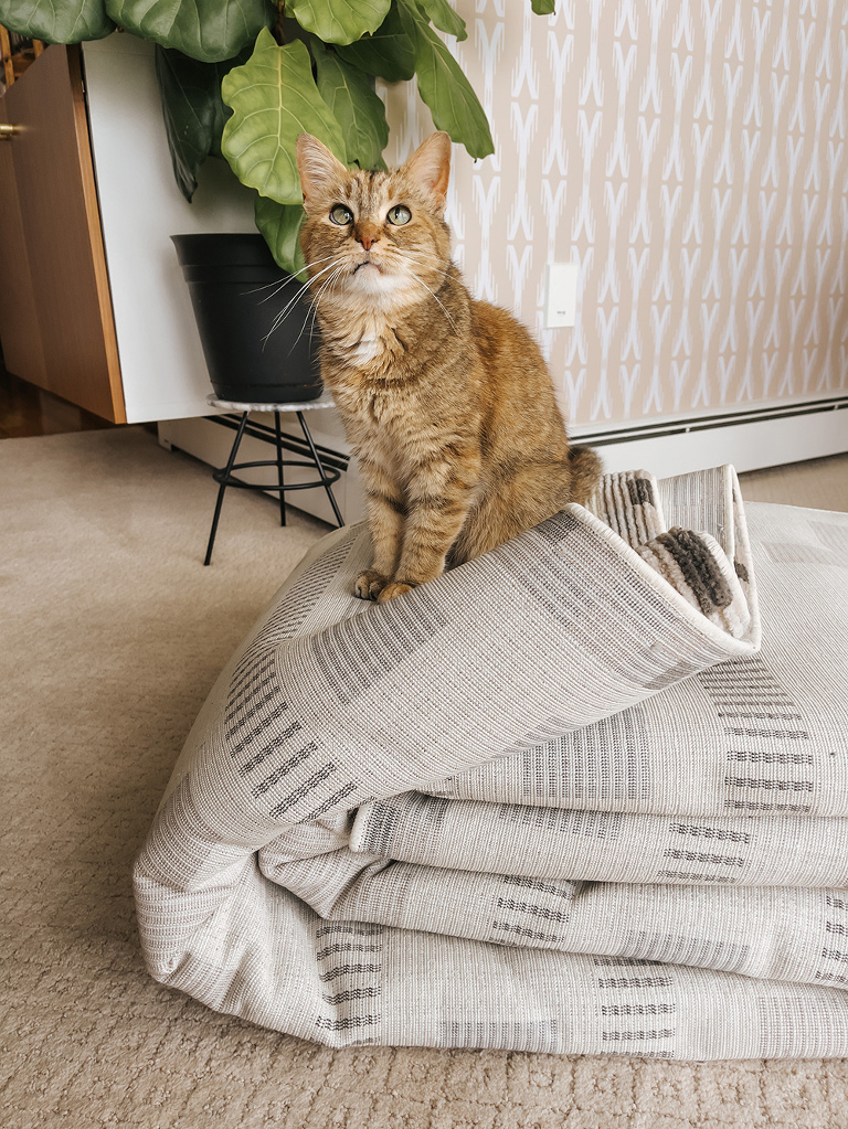 Review: Revival's Line Of Washable Rugs