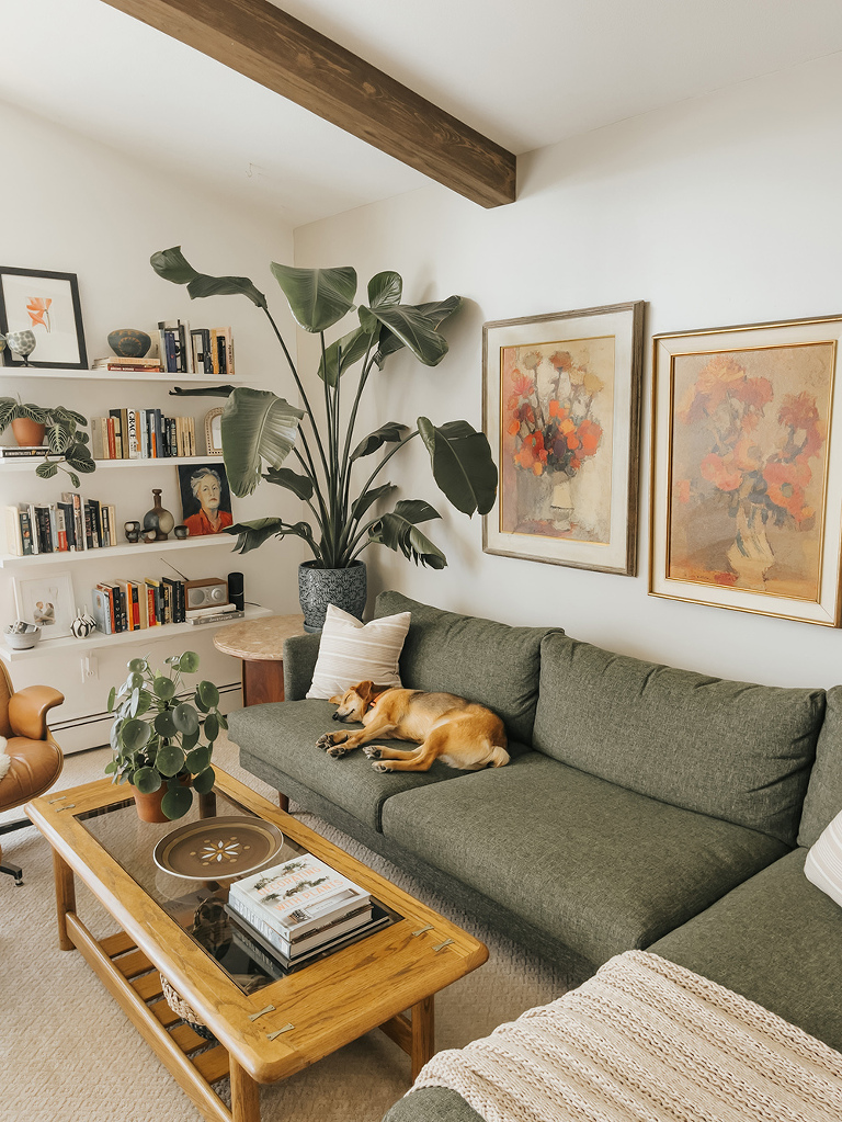Living room with shop glass coffee table