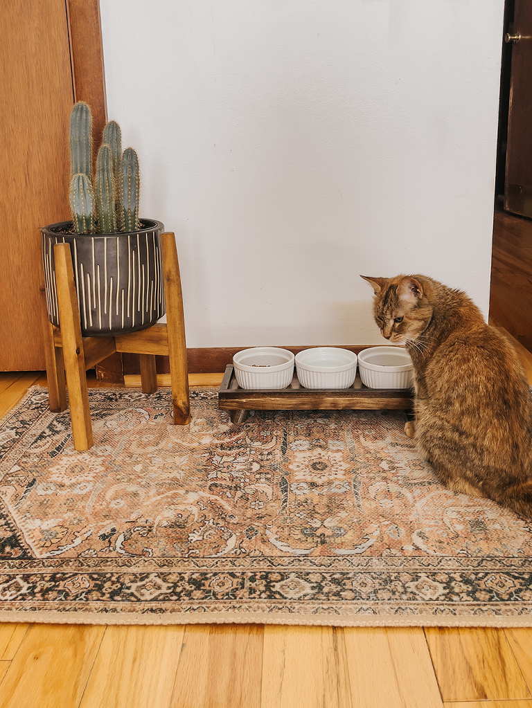 DIY Wooden Pet Food Bowl Stand - Dream Green DIY