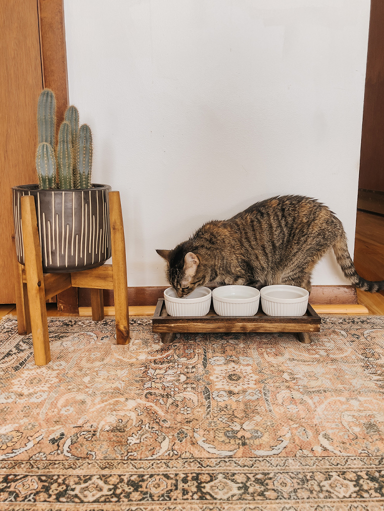 DIY Wooden Pet Food Bowl Stand - Dream Green DIY