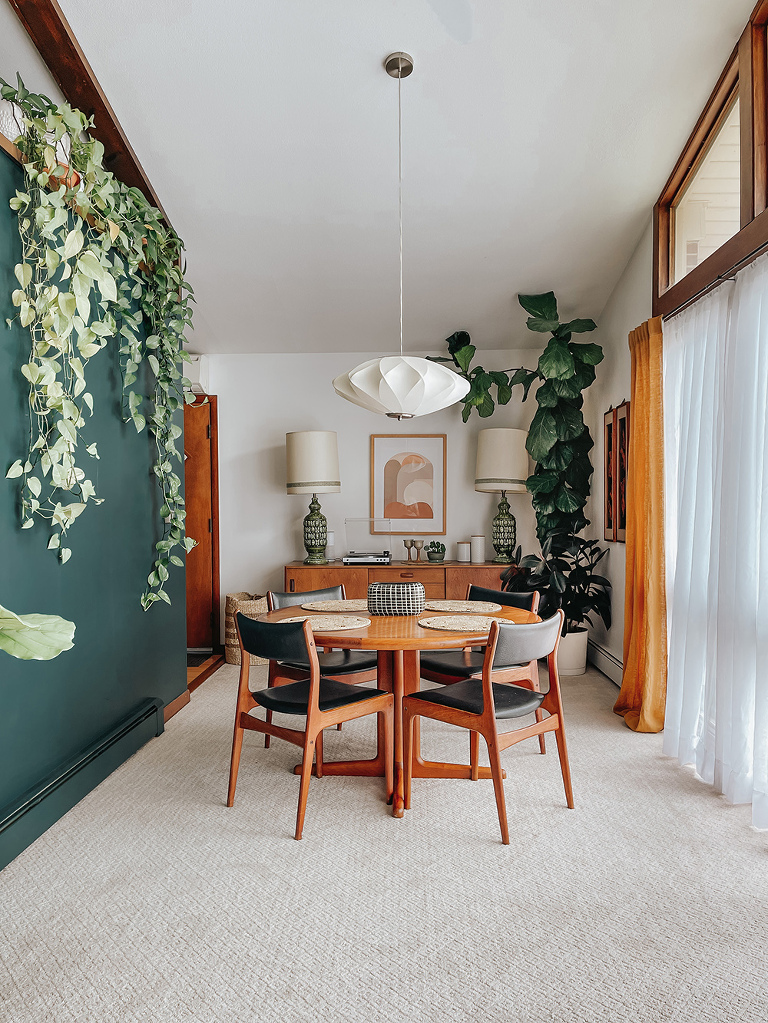 Fiddle Leaf Fig Tree Care Tips