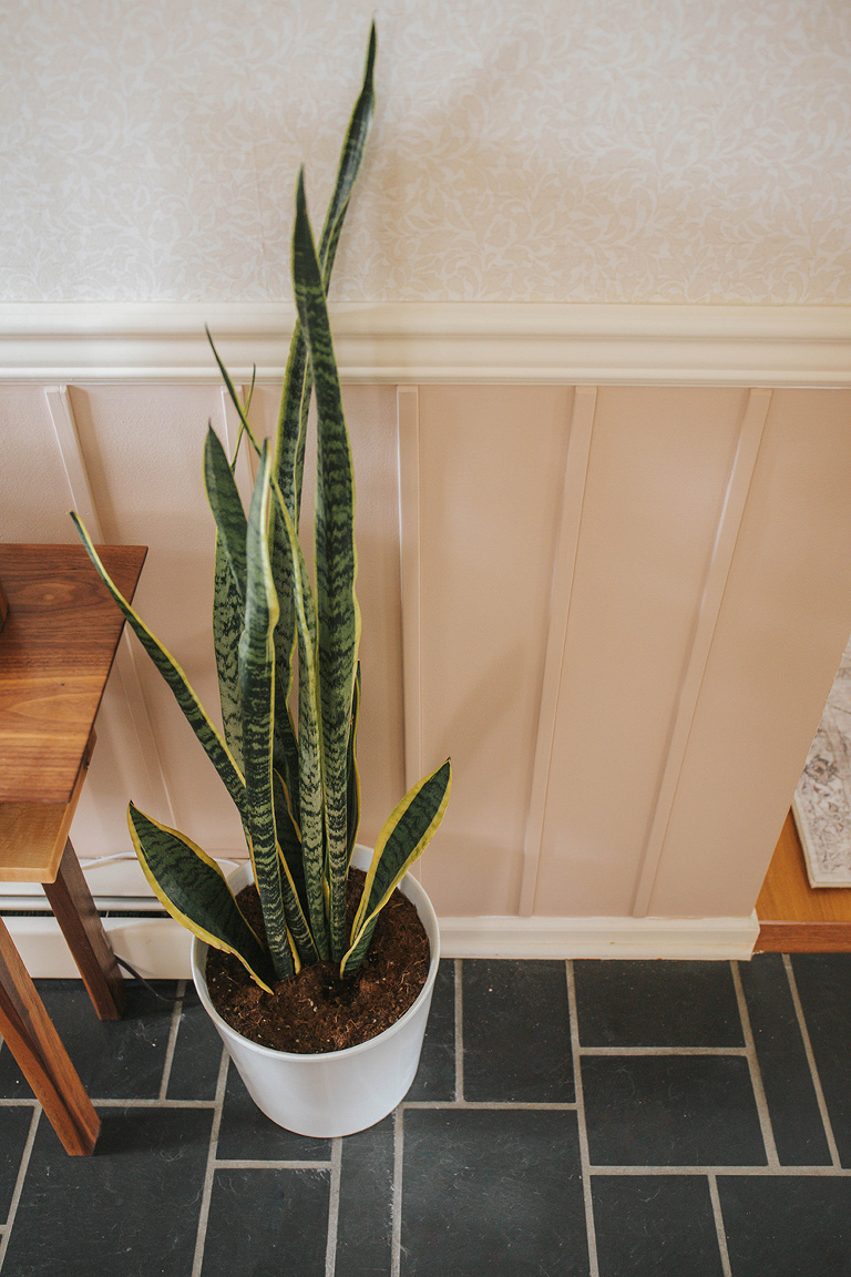 Add Architectural Wall Texture Using Trim