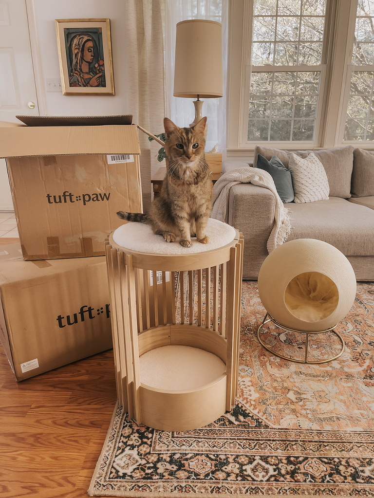 Beautiful Cat Beds Worth Investing In | dreamgreendiy.com + @tuftandpaw #ad #gifted