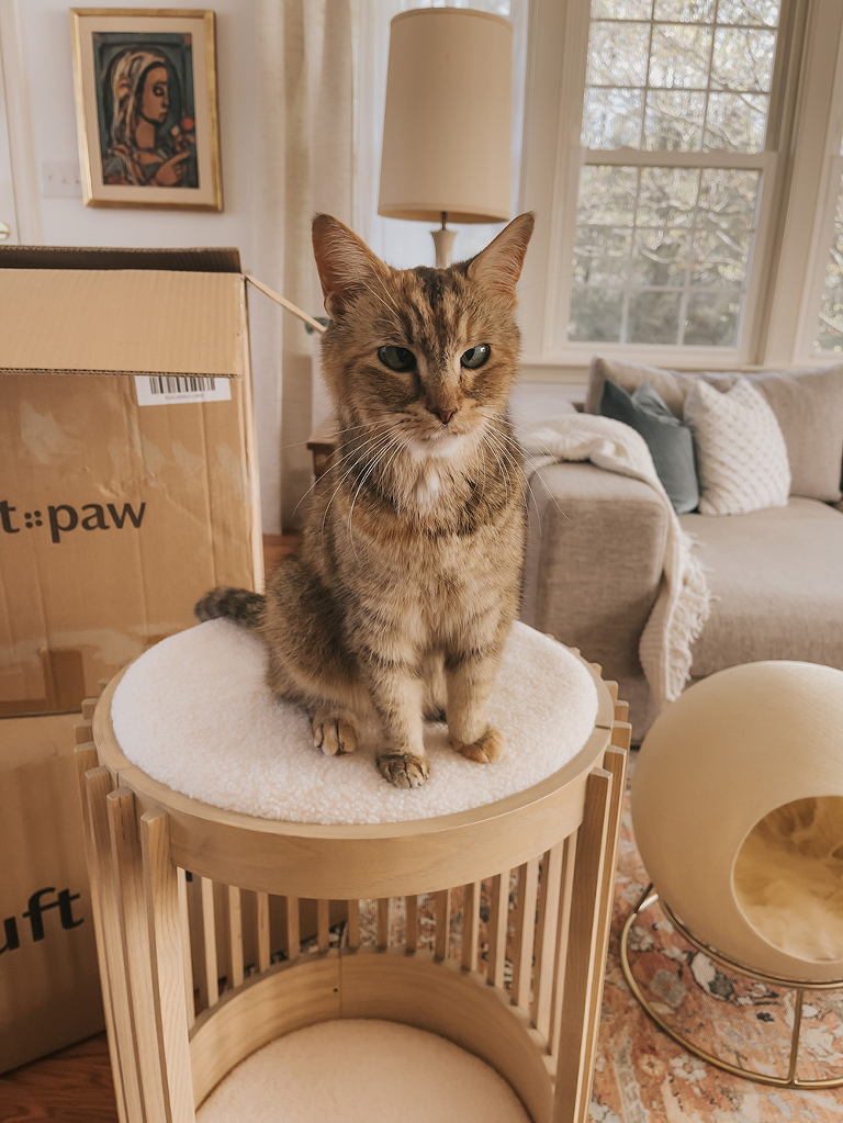 Beautiful Cat Beds Worth Investing In | dreamgreendiy.com + @tuftandpaw #ad #gifted